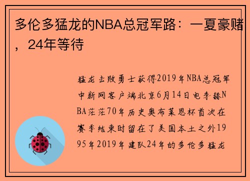 多伦多猛龙的NBA总冠军路：一夏豪赌，24年等待