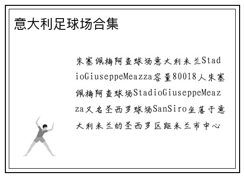 意大利足球场合集
